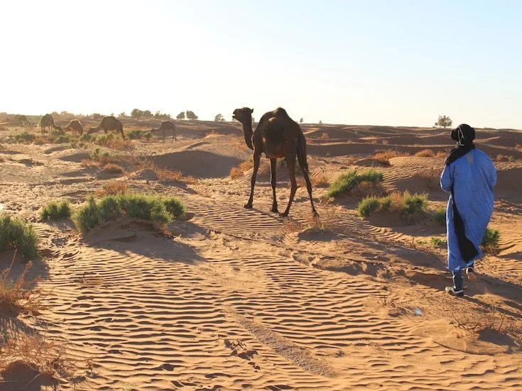 4 Day Morocco Desert Tour From Agadir