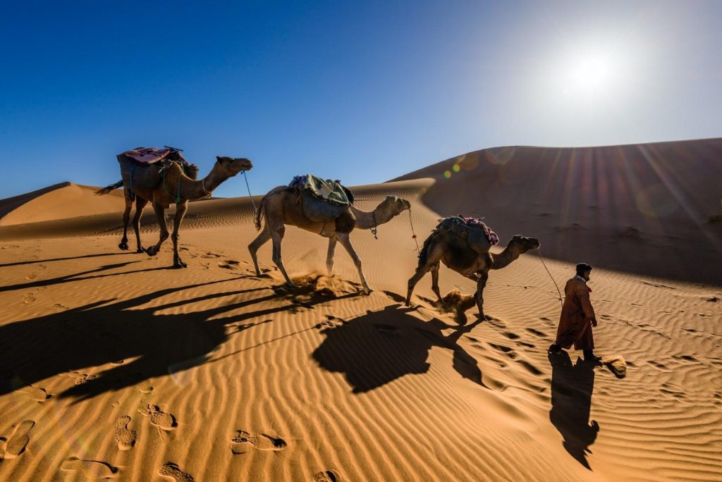 2-Day Tour Ouarzazate To Merzouga Desert